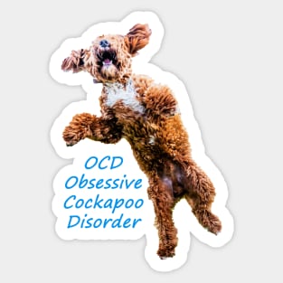 OCD Obsessive Cockapoo Disorder Sticker